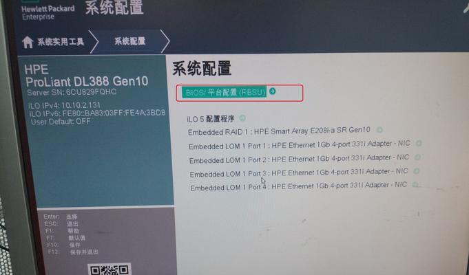 HP服务器U盘安装系统教程图解（详细教你如何利用U盘在HP服务器上安装操作系统）