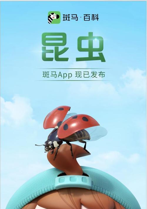 选择什么样的动画制作软件app（探索多种动画制作软件app）