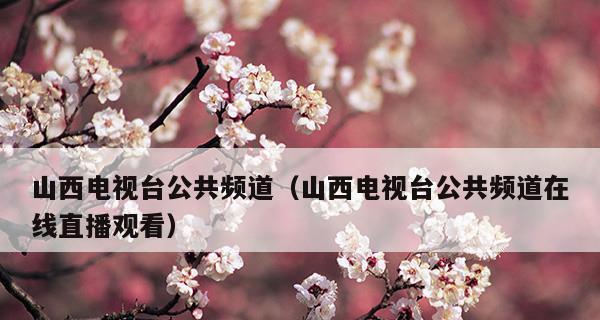 如何通过电视调出电视台频道（简单操作步骤帮助您轻松切换频道）