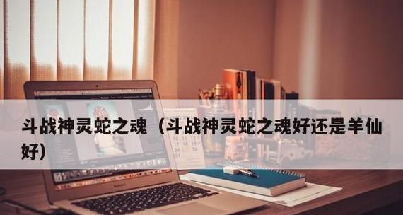《斗战神罗刹65装备选择指南》（打造强大角色）