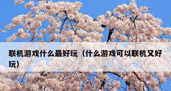 双人联机游戏的魅力与选择（探索多元化游戏世界）
