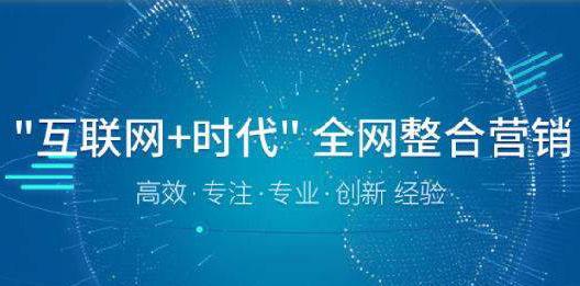 网络推广的技巧和方法（提升网络推广效果的实用策略）