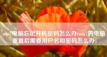 电脑忘记开机密码（轻松应对电脑开机密码忘记的情况）