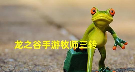 龙之谷手游牧师转职推荐攻略（选择适合自己的牧师转职）