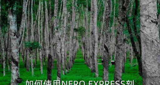 如何使用Nero刻录CD光盘（简单易学的刻录方法）