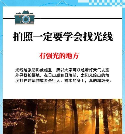 苹果手机12在强光下拍照效果如何？有哪些技巧可以提升？