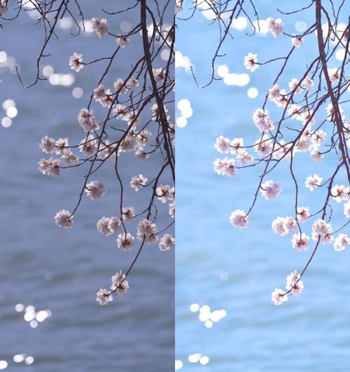 手机拍照时画面暗淡如何解决？