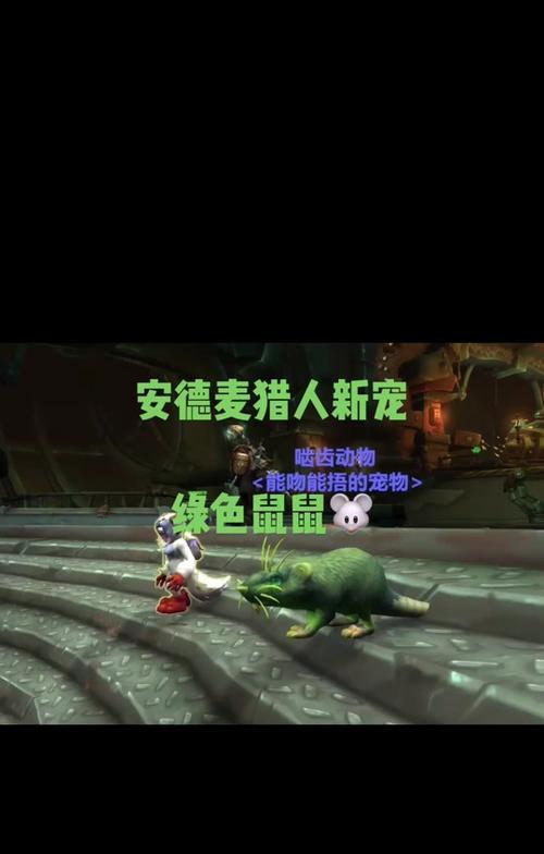 魔兽世界尖啸类宠物的获取方法是什么？