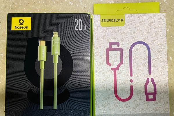 充电器充电中断电的常见原因有哪些？
