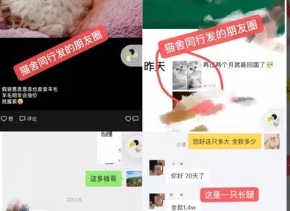 遇到问题时如何与王者荣耀客服有效沟通？